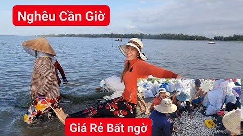 chia sẻ cách bắt Nghêu bằng máy ở Cần Giờ là như thế nào | ÚT DIỄM BA TRI