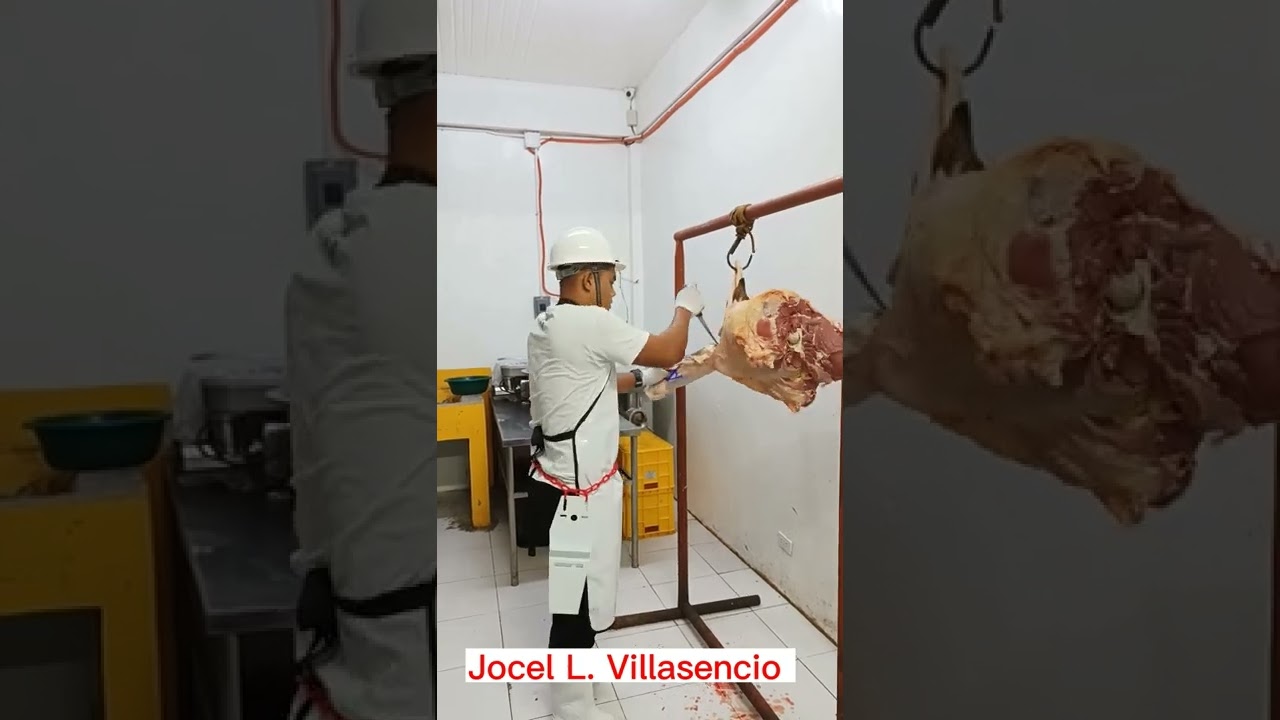 Breakdown beef hind quarter | deboning beef hind quarter #butcher # ...