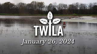 TWILA—January 26, 2024