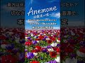 Anemone 〜最後の嘘〜 (Short Ver.)