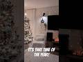 Time to take out our Xmas decorations #christmas #holidayseason #vlogs #holidayvibes #fun #homedecor