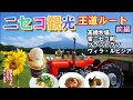 夏も楽しい!【ニセコ観光王道ルート2024】前編ー旅とグルメのアカムツチャンネル