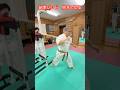 【武道・武術】最強の結束バンドを蹴りで切ることはできるのか!?YASU父も挑戦!!#aikido #karate #martial #武道 #空手#筋トレ
