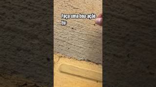 Prático isso todo dia #gratidao #shortsvideoviral #humor #shortsnono