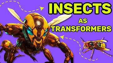 Insects as Transformers
