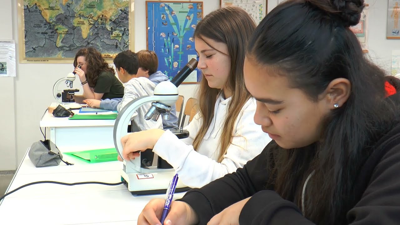 Film de présentation du Collège Jeanne d'Albret de PAU