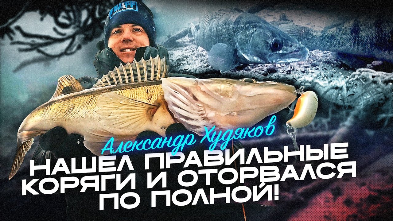 Техника поиска и ловли судака на вибы в корягах. ПОДВОДНАЯ СЪЕМКА и РЫБОЛОВНЫЕ ЛАЙФХАКИ