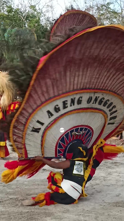 PEMBARONG REOG NGAMUK BIKIN MERINDING 😱 #shorts #shortsfeed #viralshorts #reog