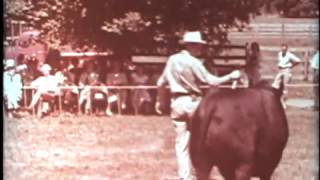 Along America's Angus Trails with Paul Harvey