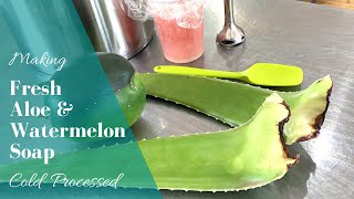 Water Melon & Aloe Soap | Cold Processed