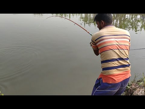 ভিডিও: কীভাবে শিকারের টিকিট পাবেন