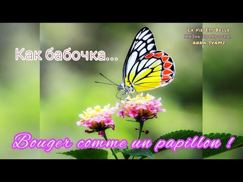 🦋🦋🦋ДВИГАТЬСЯ КАК БАБОЧКА 🦋🦋🦋 LEÇON de PAPILLON ☝️короткое видео со смыслом!