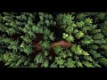 Roa Good Feeling Tropical Saxophone Beat POP Vlogs No Copyright Sound FREE USE MUSIC Roa Good Feeling Tropical Saxophone Beat POP Vlogs No Copyright Sound FREE USE MUSIC