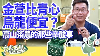 【六奉茶莊】金萱烏龍茶為何比青心烏龍茶還便宜！？ 金萱 ... 