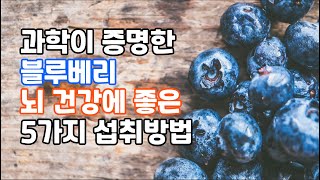 과학이 인정한 블루베리 뇌 건강 비법 5가지! #블루베리 #블루베리효능 #시니어건강