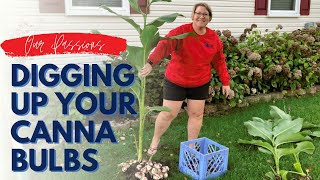 Digging Up Your Canna Bulbs