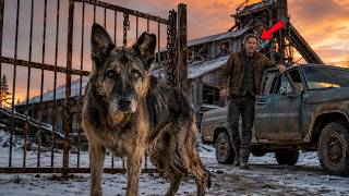 The Old German Shepherd Waited Ten Years for a Navy SEAL to Come Home