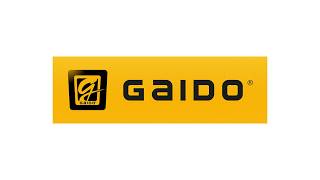 Gaido (Malaysia) Superbrands TV Brand Video