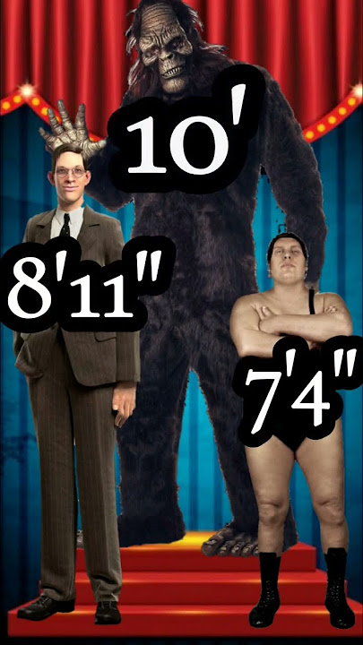 ROBERT WADLOW ANDRE THE GIANT AND BIGFOOT FACE TO FACE #shorts