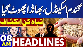 Dunya News Headlines 08 AM | Who is Involved in the Wheat Scandal? Wheat's Price?? | 6 MAY 2024