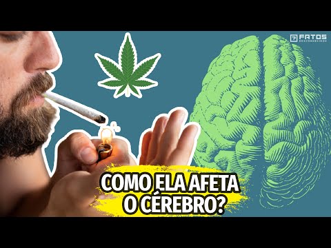 A maconha faz mal para o seu cérebro?