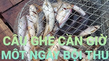 Cho thuê ghe câu biển ở Cần Giờ và một ngày bội thu của các cần thủ. #ghecaucangio