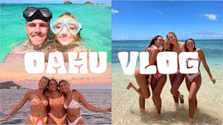 OAHU VLOG! (Swimming w/ Sharks, Meeting internet friends, Beach cleanup, etc.)