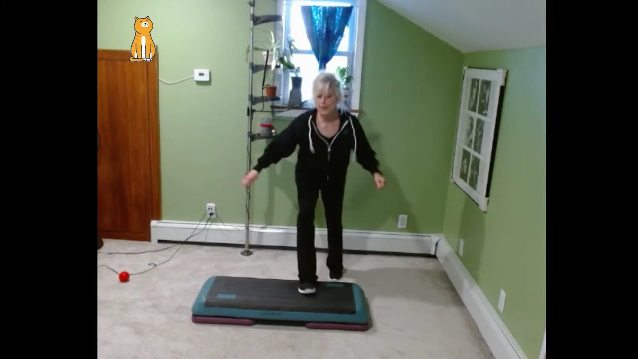 Step Level 3 - Feberuary 4, 2026👟👟👟💙💛☮🚫