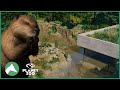 Beaver Habitat & Underwater Viewing | Elm Hill City Zoo | Planet Zoo