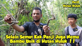 Nino Dapet Semut, Kalau Kak Panji Dapet Bambu Unik Di Hutan Huluk | Part2 Hutan Huluk Purwkarta Resimi