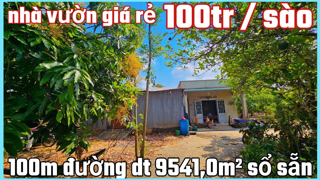 Nhà vườn vườn giá rẻ chỉ 100tr sào bao sổ bán 100m đường hết dt 9541,0m² sổ sẵn 