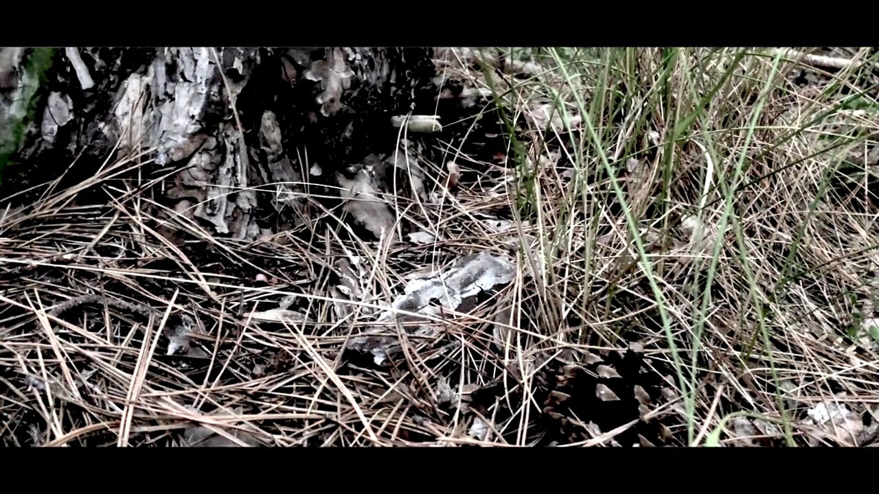 ТОП Класации - СЕЗОН 3 - Official Teaser (HD)