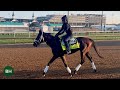 2024 kentucky derby 150 training 42424 forever youngs breeze leads busy morning