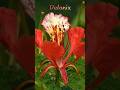 Природа - талантливый художник. #природа #красота #шортс