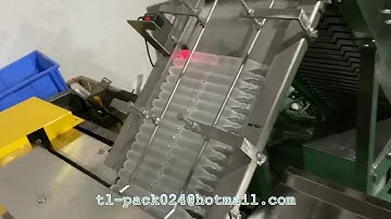 Auto Ice Lolly flow wrapper machine,Ice Lolly flow packaging machine ,Ice lolly flow wrapper machine