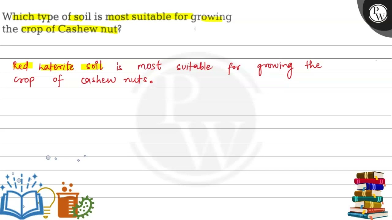 Which type of soil is most suitable for growing the crop of Cashew nut