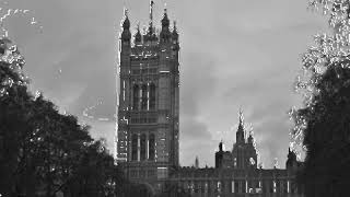 White Black Photography By David Perea