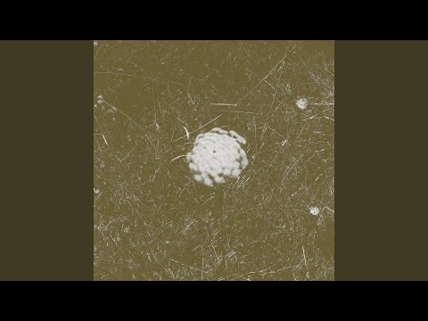 Παρακολούθηση And The Rest στο YouTube