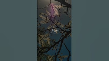 مريم - الآية ٣٥ مَا كَانَ لِلَّهِ أَن يَتَّخِذَ مِن وَلَدٍ ۖ سُبْحَـٰنَهُۥٓ ۚ