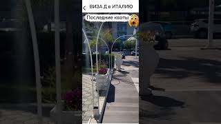 Последние квоты на  визу Д в Италию!
