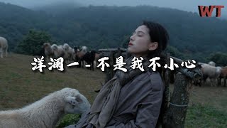 洋澜一 - 不是我不小心『虽然你不是我的唯一，深情却叫我无法逃避。』【动态歌词MV】