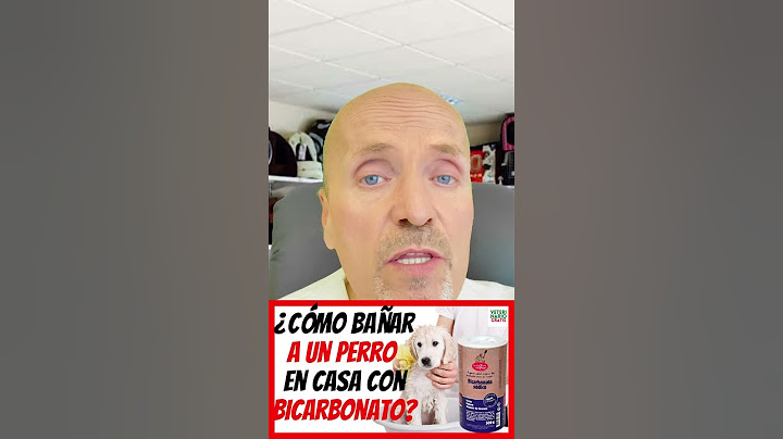 🚿 HOW TO BATHE A DOG AT HOME WITH BICARBONATE? 🚿DRY AND WITH WATER 🛁