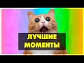 ЛУЧШИЕ МОМЕНТЫ СО СТРИМА 79