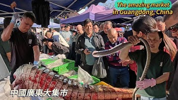 中國廣東大集市，市民搶購鰐魚肉，現場火爆令人驚嘆，蛇肉大受歡迎，攤主徒手生剝活蛇，膽子真大；烏龜肉大量售賣，蠕動的蠶蛹油炸吃，烤乳鴿價格真低，街头牛杂香味扑鼻；豬脚飯，城市快餐真便宜/4k