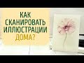 Как сканировать большие рисунки дома?