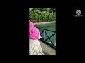 Pahalgam visit#betaabvalley #pahalgam #kashmirvalley