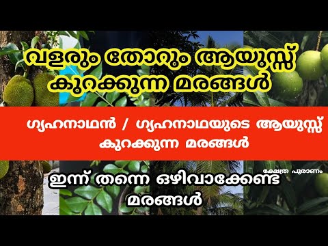      vastu tipstrees near homejyothisham Malayalam