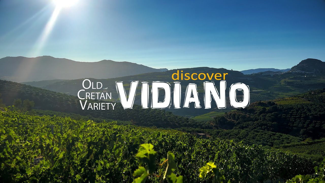 Discover Vidiano: The Pride of Cretan Wines (4k ULTRA HD)
