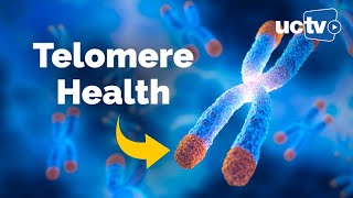 Telomere Health