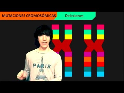 Vídeo: Diferencia Entre Mutaciones De No Disyunción Y Translocación